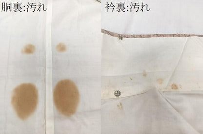 平和屋着物■上質な紬　手描き　草花文　正絹　逸品　CABG6896xi