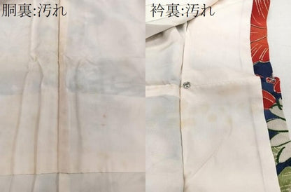 平和屋着物■上質な小紋 草花文 鬼しぼ縮緬 正絹 逸品 CABG6903xi