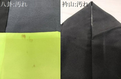 平和屋着物■訪問着　流水花文　金彩　胴抜き仕立て　洗える着物　CABG6924xi