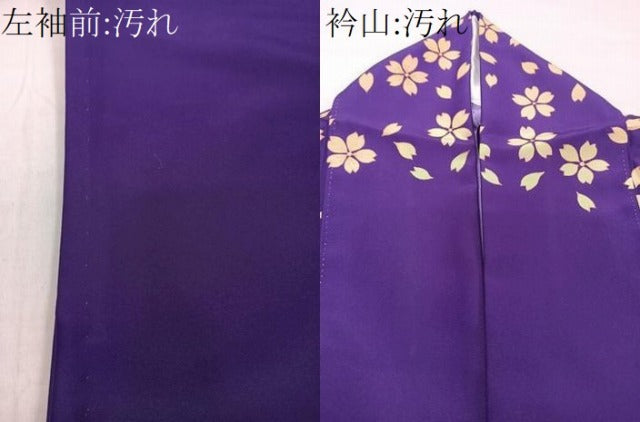 平和屋着物■訪問着　貝合わせ宝花文　金彩　胴抜き仕立て　洗える着物　CABG6929xi