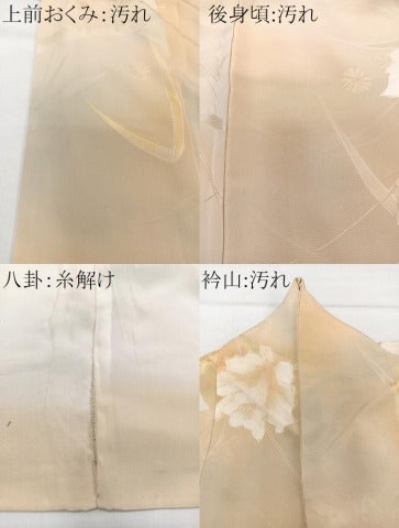平和屋着物■上質な小紋　草花文　地紋お越し　暈し染め　正絹　逸品　CABG6940xi