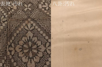 平和屋着物■本場大島紬　アンティーク　大正ロマン　菱花文　正絹　逸品　CABG6949xi