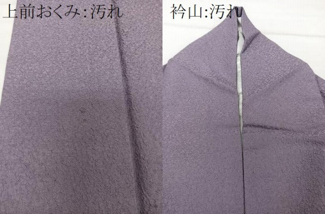 平和屋着物■上質な色無地　葡萄鼠色　正絹　逸品　CABG6999xi