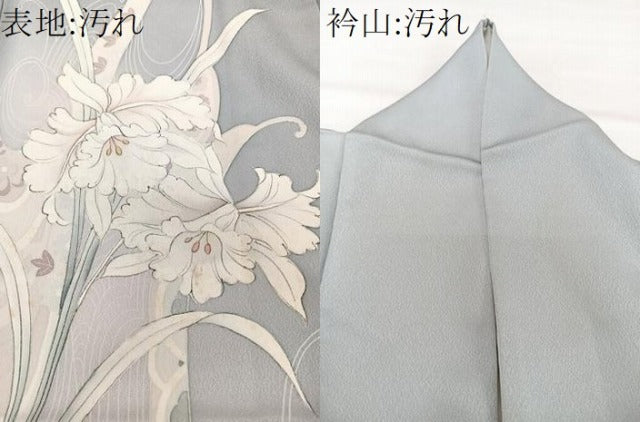 平和屋着物■訪問着　手描き　草花文　暈し染め　正絹　逸品　CABG7001xi