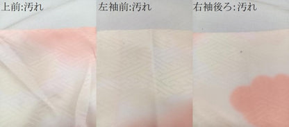 平和屋着物■長襦袢　無双仕立て　雲取り紗綾形地紋　暈し染め　洗える着物　CABG7057xi