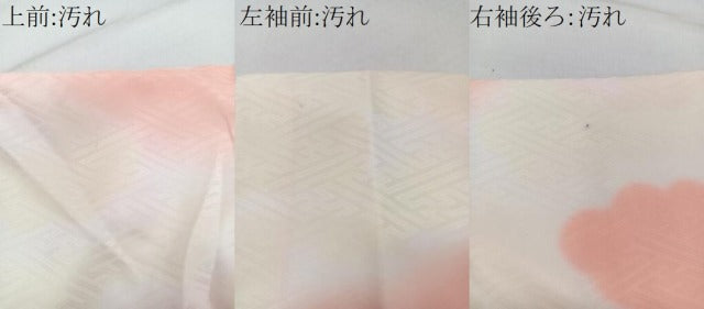 平和屋着物■長襦袢　無双仕立て　雲取り紗綾形地紋　暈し染め　洗える着物　CABG7057xi