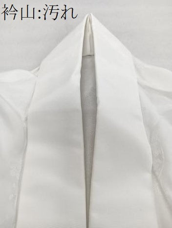 平和屋着物■長襦袢　無双仕立て　枝梅宝地紋　やまと誂製　洗える着物　CABG7060xi