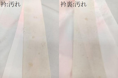 平和屋着物■振袖用長襦袢　無双仕立て　草花文　暈し染め　洗える着物　CABG7062xi