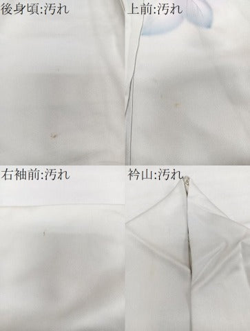 平和屋着物■訪問着　手描き　草花文　暈し染め　西武扱い　正絹　逸品　CABG7074xi
