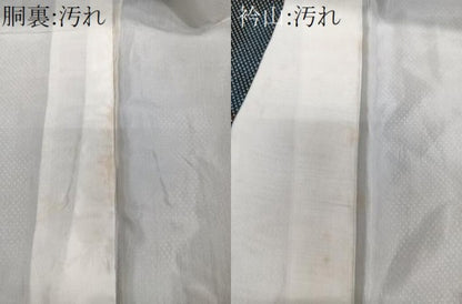 平和屋着物■上質なお召　草花文　正絹　逸品　CABG7079xi