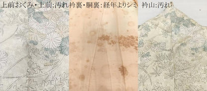平和屋着物■上質な小紋　菊梅文　正絹　逸品　CABG7114xi