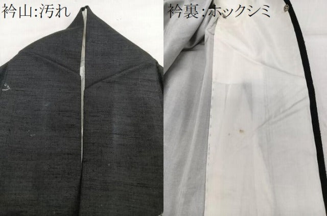 平和屋着物■上質な紬　鶴　正絹　逸品　CABG7116xi