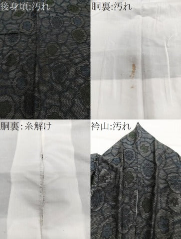 平和屋着物■本場大島紬　花丸文　正絹　逸品　CABG7148xi