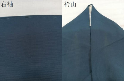 平和屋着物＊夏物　訪問着　絽　竹屋町刺繍　枝垂れ蜻蛉　金彩　正絹　逸品　CABG7157xi