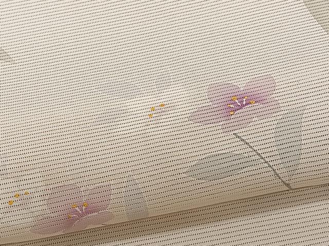 平和屋着物＊夏物　訪問着　絽　友禅　枝花文　正絹　逸品　CABG7193xi