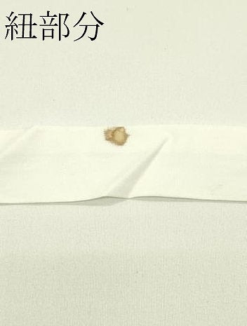 平和屋着物＊夏物　つけ帯　組織　間道　正絹　逸品　CABG7510rv