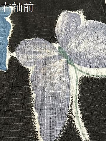 平和屋着物∴夏物　浴衣　綿紅梅　舞蝶花文　黒地　綿　逸品　CABG7624vp