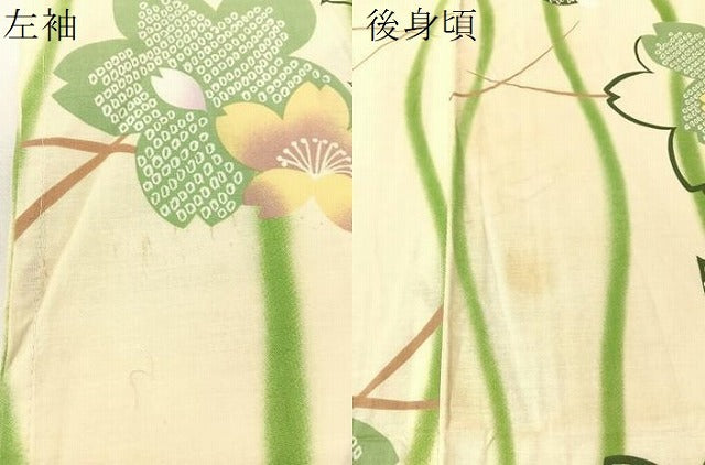 平和屋着物∴夏物　浴衣　立涌舞桜　綿　逸品　CABG7629vp