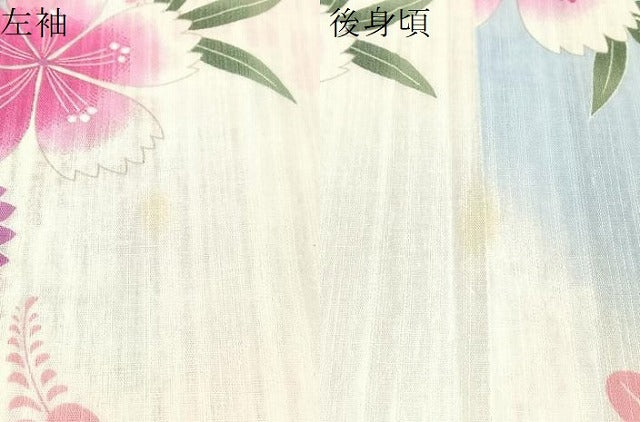 平和屋着物∴夏物　浴衣　撫子　綿　逸品　CABG7636vp