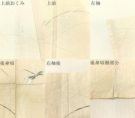平和屋着物∴夏物　浴衣　露芝紋紗　トンボ　金彩　綿　逸品　CABG7664vp