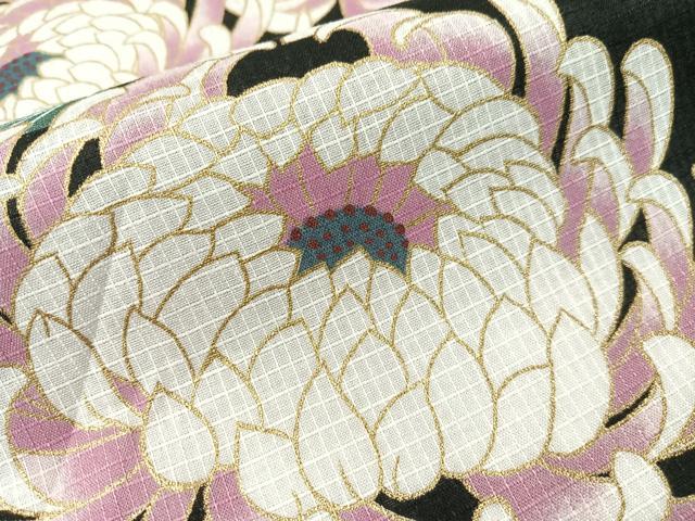 平和屋着物∴夏物　浴衣　綿紅梅　乱菊　黒地　金彩　綿　逸品　CABG7686vp