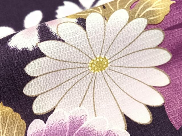 平和屋着物∴夏物　浴衣　綿紅梅　草花文　ロング丈　綿　逸品　CABG7692vp