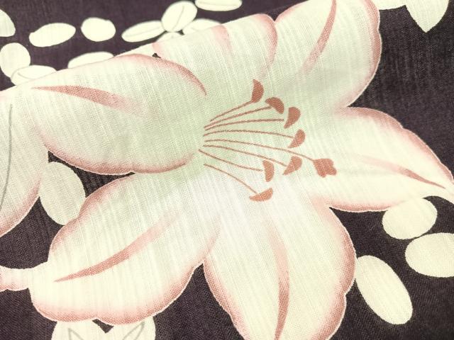 平和屋着物∴夏物　浴衣　夢工房　草花文　綿　逸品　CABG7717vp