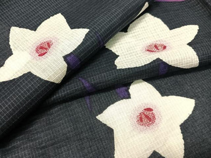 平和屋着物∴夏物　浴衣　綿紅梅　桔梗　綿　逸品　CABG7721vp