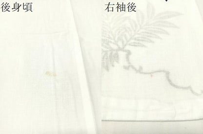 平和屋着物∴夏物　訪問着　浴衣　草葉文　綿　逸品　CABG7736vp