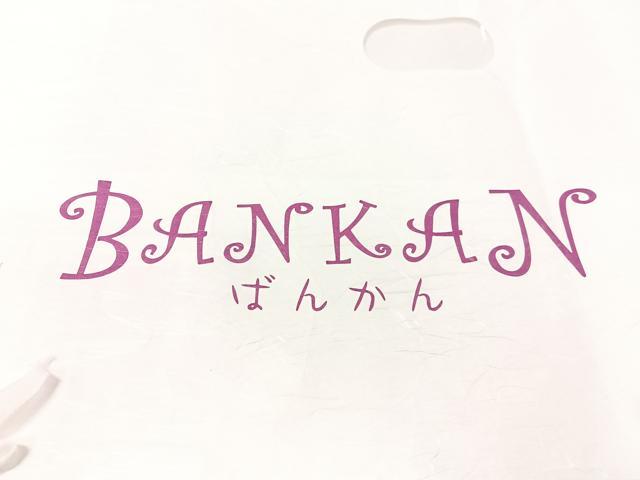 平和屋着物●BANKANわものや　両面　全通柄袋帯　洋花文　SALAMU　たとう紙付き　正絹　逸品　未使用　CABG7871vp