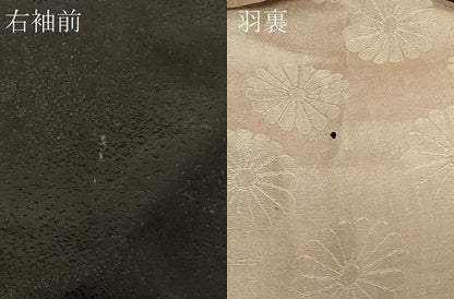 平和屋着物＃羽織　寿光織　花唐草文　黒地　金銀糸　正絹　逸品　CABG8091in
