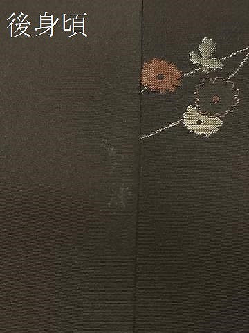 平和屋着物＃道行コート　寿光織　雲取り枝垂れ花文　黒地　銀糸　正絹　逸品　CABG8116in