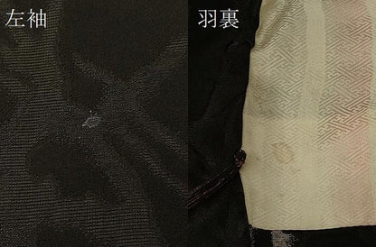 平和屋着物＃羽織　寿光織　霞文　黒地　金銀糸　正絹　逸品　CABG8169in