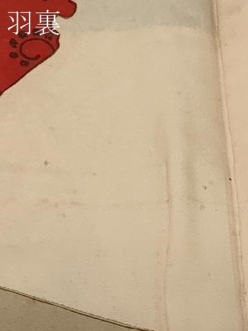 平和屋着物＃羽織　寿光織　草花丸文　黒地　銀糸　正絹　逸品　CABG8238in