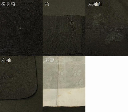 平和屋着物＃羽織　寿光織　霞文　黒地　金銀糸　正絹　逸品　CABG8394in
