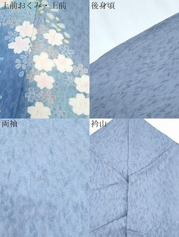 平和屋着物●大正の浮世絵師　竹久夢二　夢二ロマン　訪問着　幻草辻が花　暈し染め　ロング丈　反端付き　正絹　逸品　CABG8404th