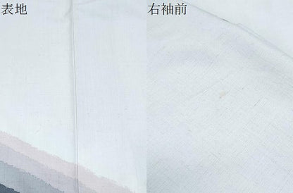 平和屋着物●訪問着　紬地　霞文　金彩　正絹　逸品　CABG8445th