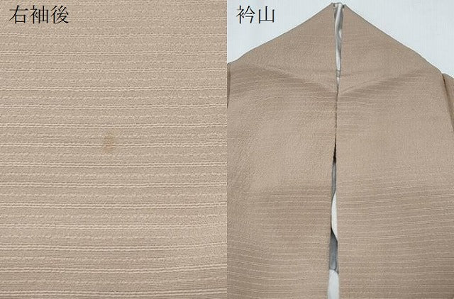 平和屋着物●上質な色無地　牛首紬縮緬　万葉つづれ　赤白橡色　証紙付き　正絹　逸品　CABG8451th