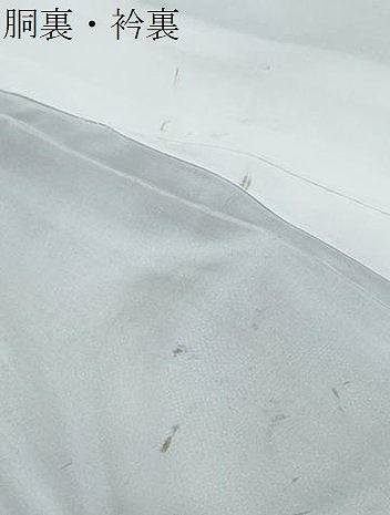 平和屋着物●本場大島紬　9マルキ　草花文　正絹　逸品　CABG8456th