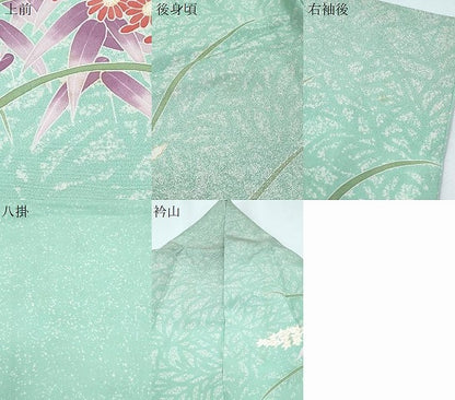 平和屋着物●東京友禅　田中種水　訪問着　草花文　銀通し地　正絹　逸品　CABG8462th
