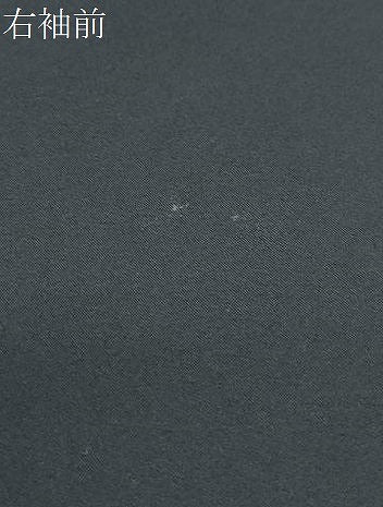 平和屋着物●豪華黒留袖　本加賀友禅　作家物　飛鳥枝梅松文　正絹　逸品　CABG8512th