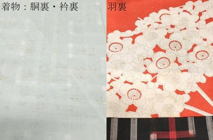 平和屋着物●本場大島紬　龍郷絣　秋名バラ　アンサンブル　正絹　逸品　CABG8519th
