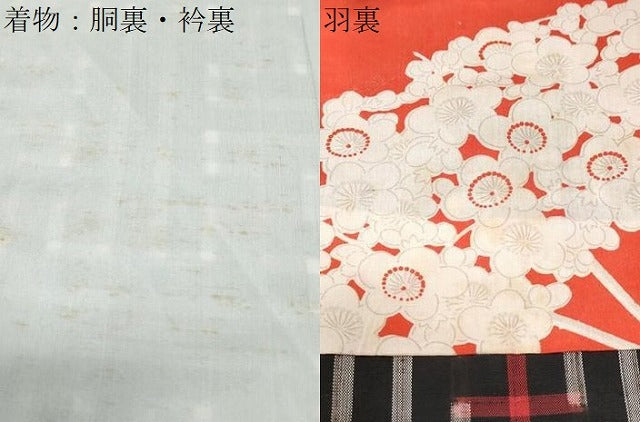 平和屋着物●本場大島紬　龍郷絣　秋名バラ　アンサンブル　正絹　逸品　CABG8519th