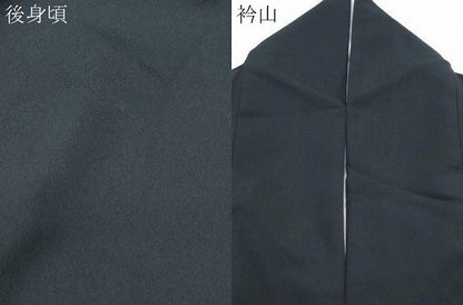 平和屋着物●訪問着　手描き　龍　立波文　黒地　金彩　洗える着物　CABG8534th