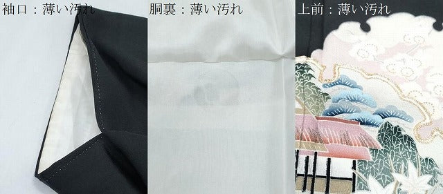 平和屋着物■豪華黒留袖 駒刺繍 雪輪風景文 金彩 正絹 逸品 CABG8546th