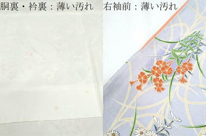 平和屋着物■上質な小紋　草花文　暈し染め　正絹　逸品　CABG8557th
