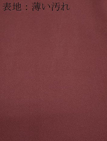 平和屋着物■上質な色無地 葡萄茶色 正絹 逸品 CABG8566th