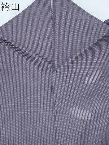 平和屋着物＊夏物　小紋　縦絽　地紙文　正絹　逸品　CABG8603th