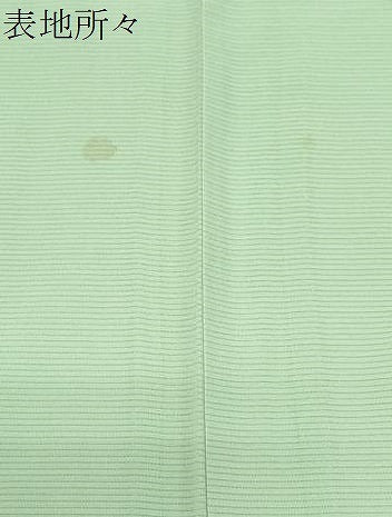 平和屋着物＊夏物　色無地　絽　若葉色　正絹　逸品　CABG8613th