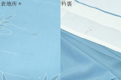 平和屋着物＊夏物　訪問着　絽　白鷺　籬流水文　正絹　逸品　CABG8631th
